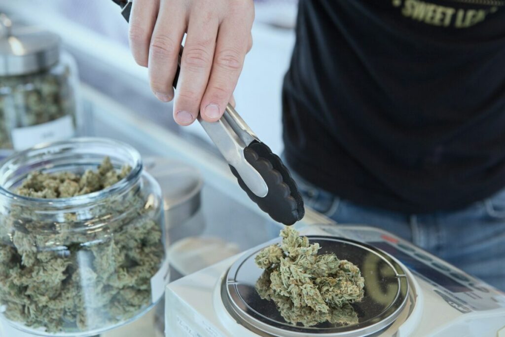 Cannabis club Barcelone : guide complet et vécu personnel 2 Cannabis club Barcelone : guide complet et vécu personnel