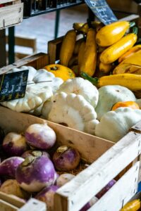 Formation horticulteur : cultiver son avenir autrement