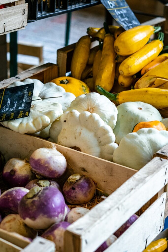 Formation horticulteur : cultiver son avenir autrement